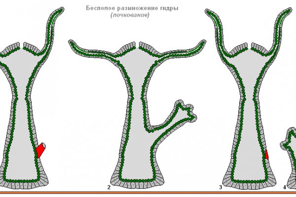 Kraken сайт даркнет