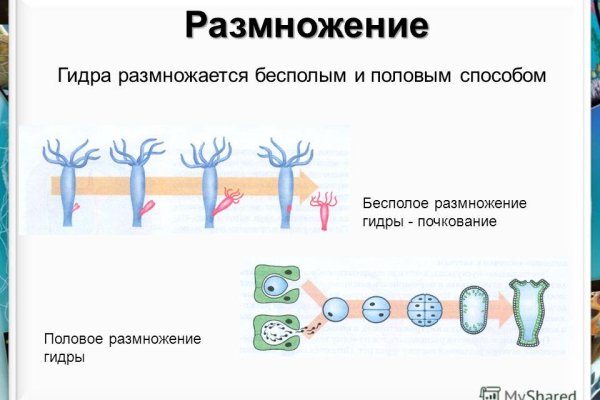 Кракен даркнет отменился заказ